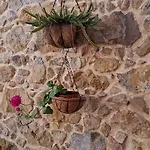 Bed and Breakfast Galega
